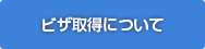 ビザ取得について